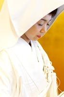 CRW_0570.jpg