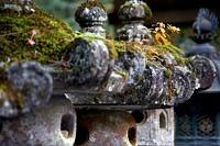 _MG_0758.jpg