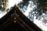 _MG_0761.jpg