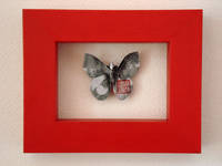 Highlight for Album: Papillons tableaux / Painting Butterflies