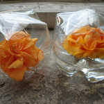 Annette_Flowers3s