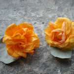 Annette_Flowers4s
